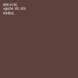 #5E413C - Kabul Color Image