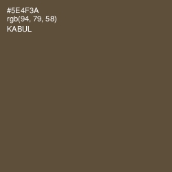 #5E4F3A - Kabul Color Image