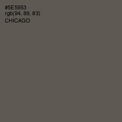 #5E5953 - Chicago Color Image