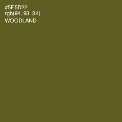 #5E5D22 - Woodland Color Image