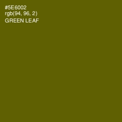 #5E6002 - Green Leaf Color Image