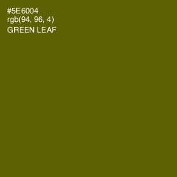 #5E6004 - Green Leaf Color Image