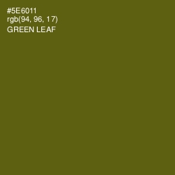 #5E6011 - Green Leaf Color Image