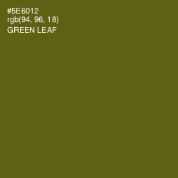 #5E6012 - Green Leaf Color Image