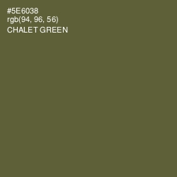 #5E6038 - Chalet Green Color Image