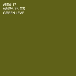 #5E6117 - Green Leaf Color Image