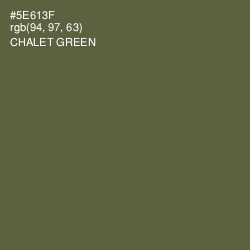 #5E613F - Chalet Green Color Image