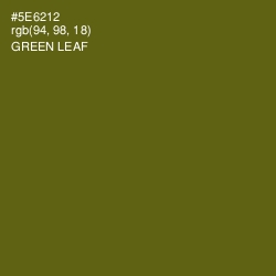 #5E6212 - Green Leaf Color Image