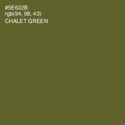 #5E622B - Chalet Green Color Image