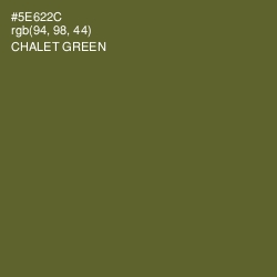 #5E622C - Chalet Green Color Image
