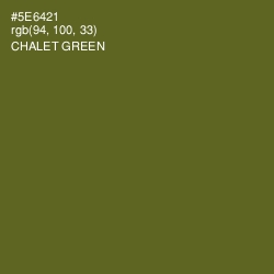 #5E6421 - Chalet Green Color Image