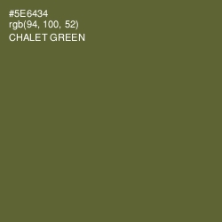 #5E6434 - Chalet Green Color Image