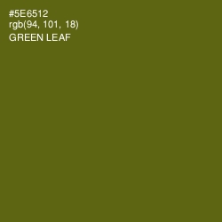 #5E6512 - Green Leaf Color Image