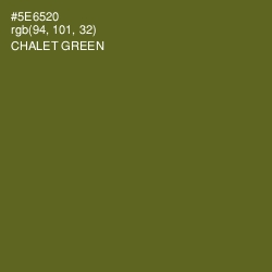 #5E6520 - Chalet Green Color Image