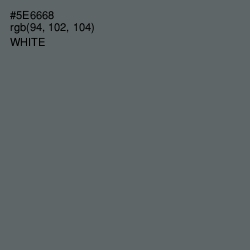 #5E6668 - Shuttle Gray Color Image