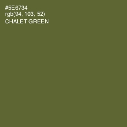 #5E6734 - Chalet Green Color Image