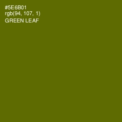 #5E6B01 - Green Leaf Color Image