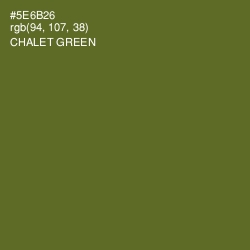 #5E6B26 - Chalet Green Color Image
