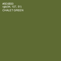 #5E6B33 - Chalet Green Color Image