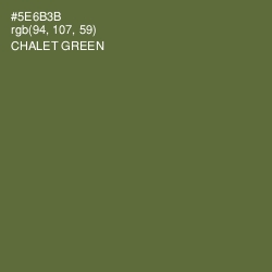 #5E6B3B - Chalet Green Color Image