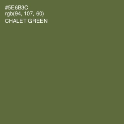 #5E6B3C - Chalet Green Color Image