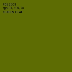 #5E6D03 - Green Leaf Color Image