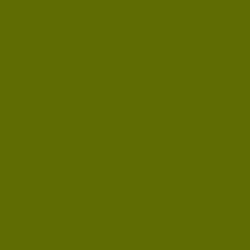 #5E6E05 - Green Leaf Color Image