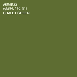 #5E6E33 - Chalet Green Color Image