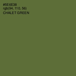 #5E6E38 - Chalet Green Color Image