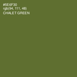 #5E6F30 - Chalet Green Color Image