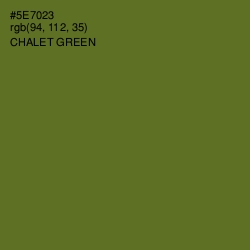 #5E7023 - Chalet Green Color Image