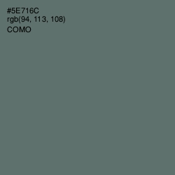 #5E716C - Como Color Image