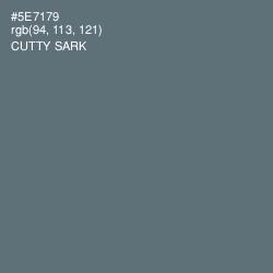 #5E7179 - Cutty Sark Color Image