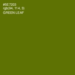 #5E7203 - Green Leaf Color Image