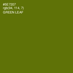 #5E7207 - Green Leaf Color Image