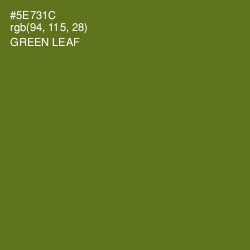 #5E731C - Green Leaf Color Image