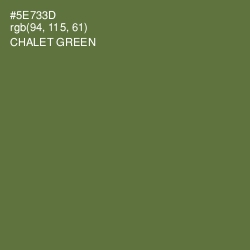 #5E733D - Chalet Green Color Image
