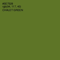 #5E7528 - Chalet Green Color Image