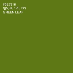 #5E7816 - Green Leaf Color Image