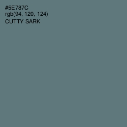 #5E787C - Cutty Sark Color Image