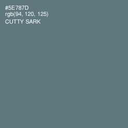 #5E787D - Cutty Sark Color Image