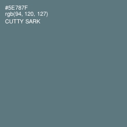 #5E787F - Cutty Sark Color Image