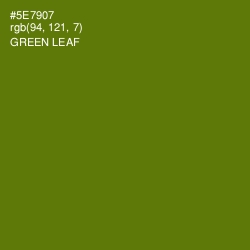 #5E7907 - Green Leaf Color Image