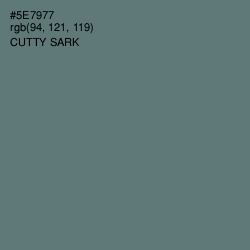 #5E7977 - Cutty Sark Color Image