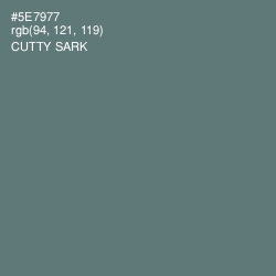 #5E7977 - Cutty Sark Color Image