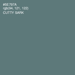 #5E797A - Cutty Sark Color Image