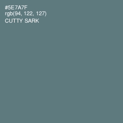 #5E7A7F - Cutty Sark Color Image