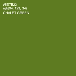 #5E7B22 - Chalet Green Color Image