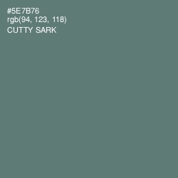 #5E7B76 - Cutty Sark Color Image