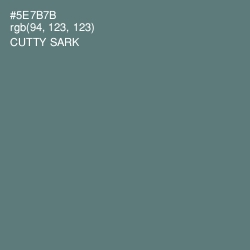 #5E7B7B - Cutty Sark Color Image